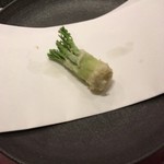 天雅 - タラの芽