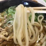 三角茶屋豊吉うどん - うどんアップ