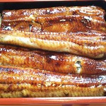 うなぎ亭 友栄 - 上うな重(大盛)