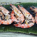 辰寿し - 車海老塩焼き