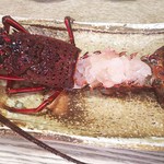 辰寿し - 伊勢海老刺身