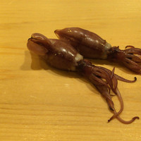 鮨 しゅん輔 阿佐ヶ谷 - 