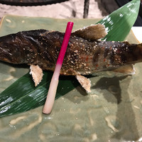 柳家錦 - 