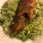 ビリエット - 岩魚と春野菜のリゾット