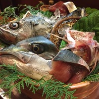 魚めし 竹亭 - この日のお魚オールスターズ。
                全て天然魚を使用されているそうです。