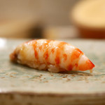 鮨 たかはし - 車海老