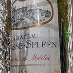 旬熟成hakko - 赤ワイン
      生産者シャトー・シャス・スプリーン
      CH. CHASSE SPLEEN