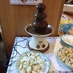 ホテル南海荘 - 2011/01　夕食（チョコフォンデュ！！）