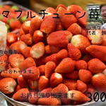 讃州手打ちうどん 我龍 - 