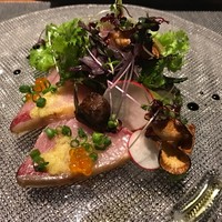 オッジ ダルマット 西麻布店 - 