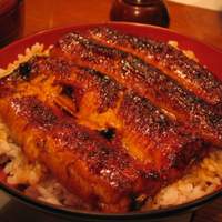 吉寅 - 鰻丼