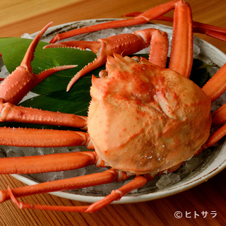 魚富_1