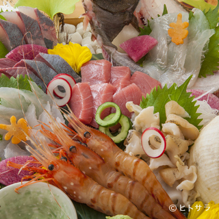 地元富山の魚をよく知るオーナーが競り落とす新鮮な魚介