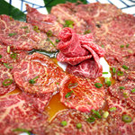 白川苑 - 特上シンシン（１００ｇ１２００円）