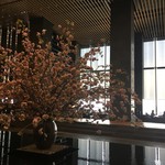 ザ・ラウンジ byアマン - 大きな桜