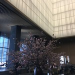 ザ・ラウンジ byアマン - 天井がとても高い！