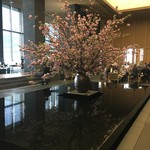 ザ・ラウンジ byアマン - ラウンジの大きな桜と池