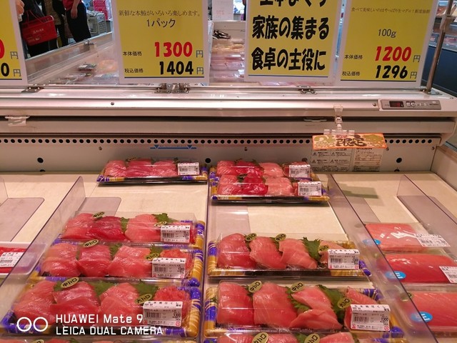 角 上 魚類 流山 店