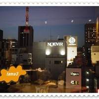 IL PINOLO 銀座 - 