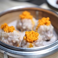 ミモザ - 焼売