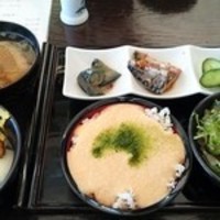 浅草むぎとろ 本店 - はやり美味しいむぎとろご飯
