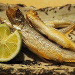 鞍馬口 寿星 - 本ししゃも