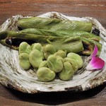 金爾 - ソラマメ