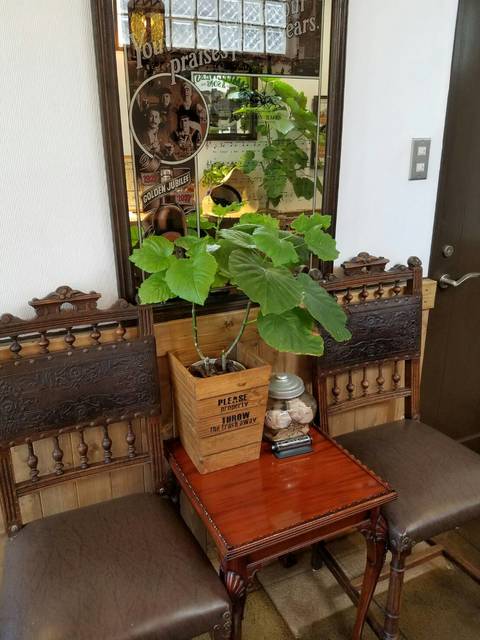 Cafe De Les Amis photo 5