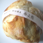 満寿屋商店 - 春よ恋