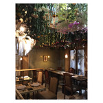 カフェヒラコンシェクラシック - 