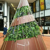 ビランチャ 梅田店 - 