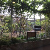 TOOTH TOOTH GARDEN RESTAURANT - 