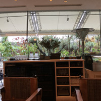 TOOTH TOOTH GARDEN RESTAURANT - 