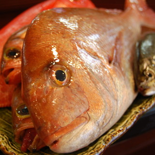 旬菜厨房 海月_0