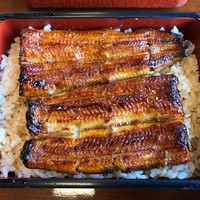 うらわのうなぎ 萬店 - 少し小さく感じる