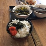楼蘭 - （2017年04月）