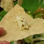 イーマサラ - パパドに、青唐辛子クリームチーズディップを。