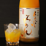 Aragoshi Mikan Orange Liqueur Umenoyado Orange Sake 아라고시 귤