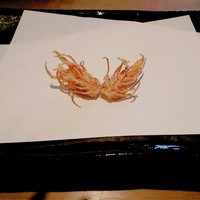 天金 - 