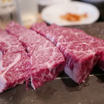 SATOブリアン - はらみ