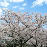 シエロイリオ - 雨も上がって〜♬