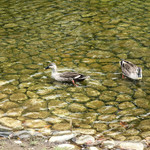 シエロイリオ - 近づいてきますよ〜♬