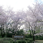シエロイリオ - 岩槻城趾公園入口