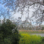 シエロイリオ - 川沿いの風景