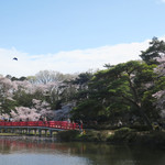 シエロイリオ - 日本の庭園ですね・・