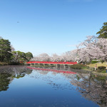 シエロイリオ - 水に映る桜も美しく・・♡