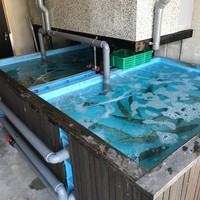 鯖とか烏賊とか真とか - 