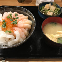 鯖とか烏賊とか真とか - 