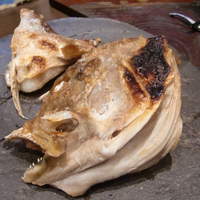 う越貞 - 白甘鯛カマ焼き