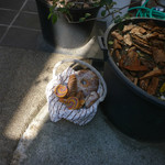 サ・マーシュ - 